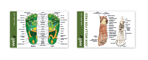 Wellx – Foot Anatomy Card