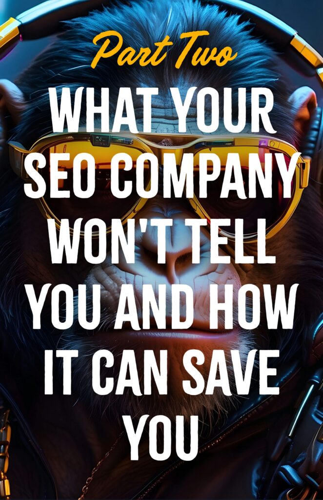 What Your SEO Company Won't Tell You and How It Can Save You - Part Two